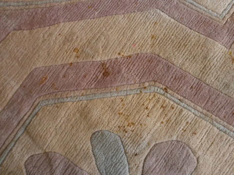 Braune Flecken auf einem hellen Teppich vor der Wäsche