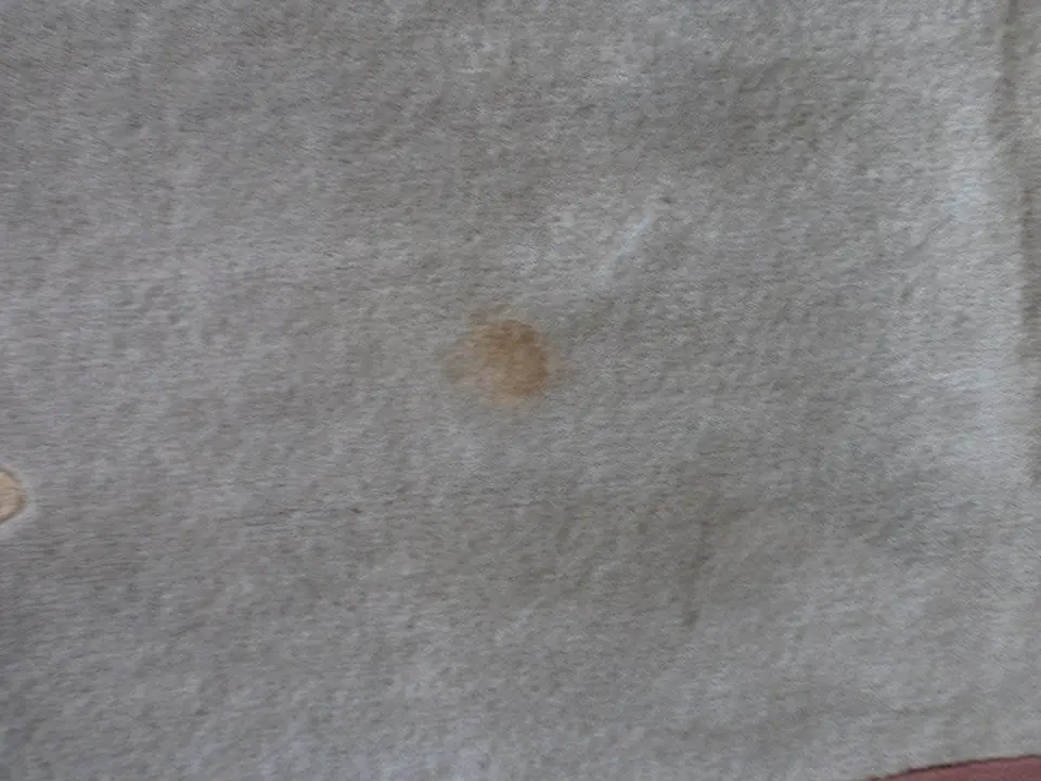 Ein heller Teppich mit einem kleinen, bräunlichen Fleck