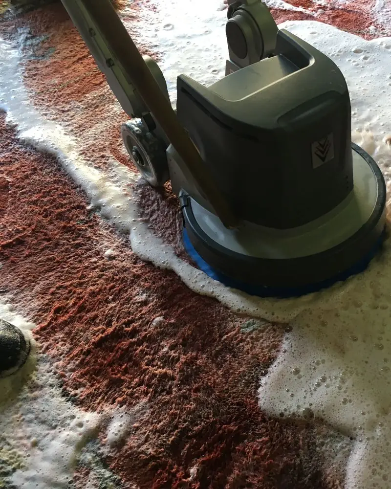 Ein Teppich wird mit einer Bürstenmaschine eingeschäumt